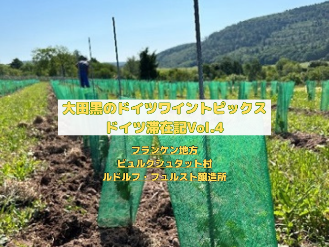 ヘレンベルガー・ホーフ株式会社‐ドイツワインの輸入卸